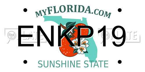 ENKP19 Florida License Plate