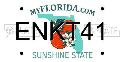 ENKT41 Florida License Plate