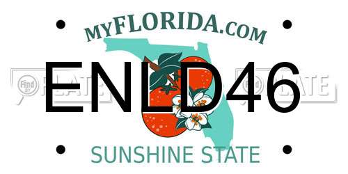 ENLD46 Florida License Plate