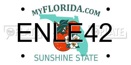 ENLE42 Florida License Plate