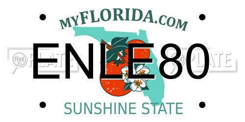 ENLE80 Florida License Plate