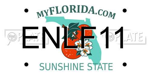 ENLF11 Florida License Plate
