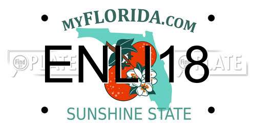 ENLI18 Florida License Plate