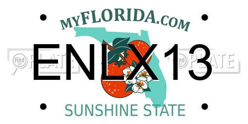 ENLX13 Florida License Plate