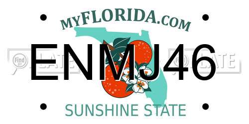 ENMJ46 Florida License Plate