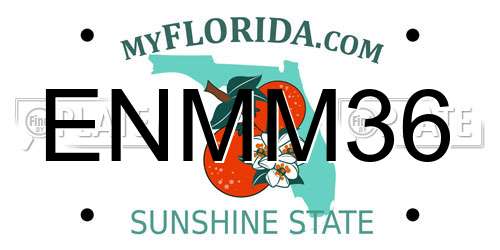 ENMM36 Florida License Plate