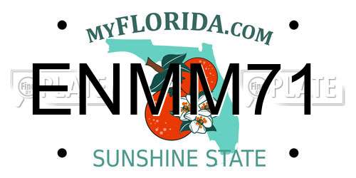 ENMM71 Florida License Plate