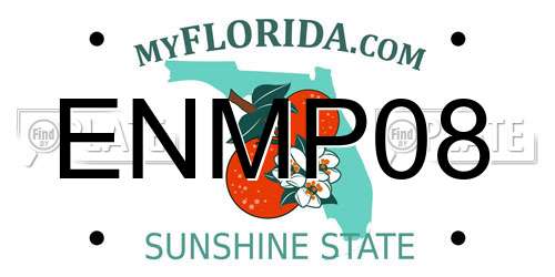 ENMP08 Florida License Plate