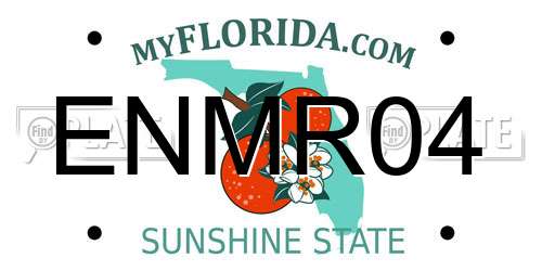 ENMR04 Florida License Plate