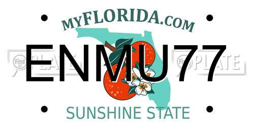 ENMU77 Florida License Plate