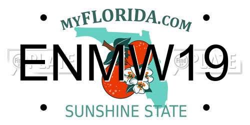 ENMW19 Florida License Plate