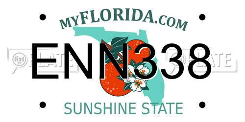 ENN338 Florida License Plate