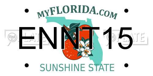 ENNT15 Florida License Plate