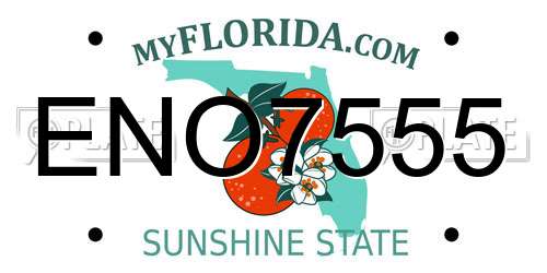 ENO7555 Florida License Plate