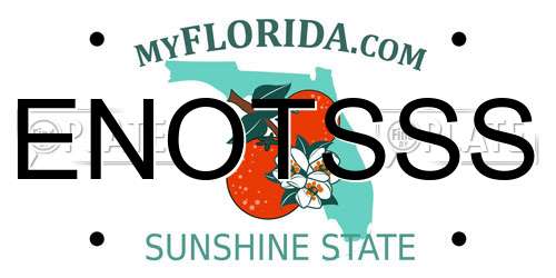 ENOTSSS Florida License Plate