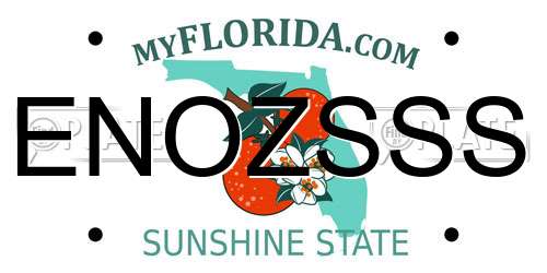 ENOZSSS Florida License Plate