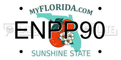 ENPP90 Florida License Plate