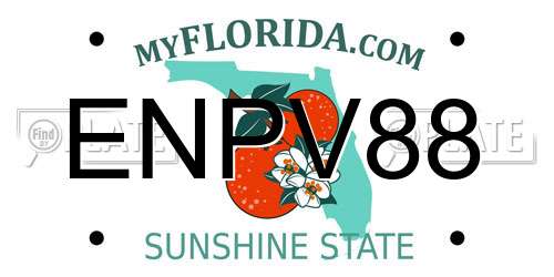 ENPV88 Florida License Plate