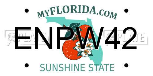 ENPW42 Florida License Plate