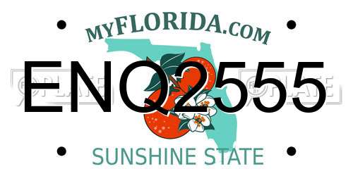 ENQ2555 Florida License Plate