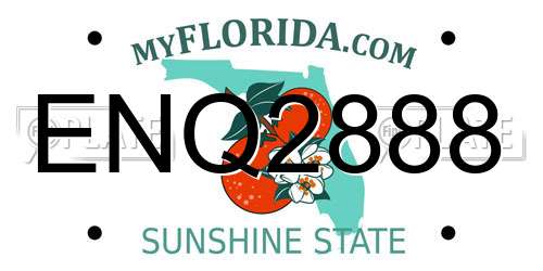 ENQ2888 Florida License Plate