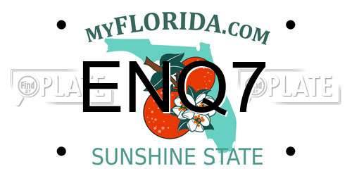ENQ7 Florida License Plate