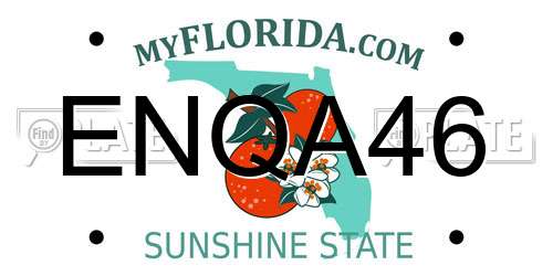 ENQA46 Florida License Plate