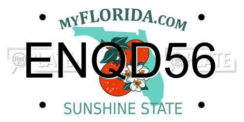 ENQD56 Florida License Plate