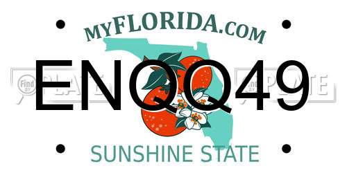 ENQQ49 Florida License Plate