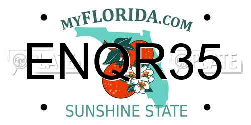 ENQR35 Florida License Plate