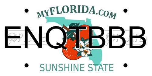 ENQTBBB Florida License Plate