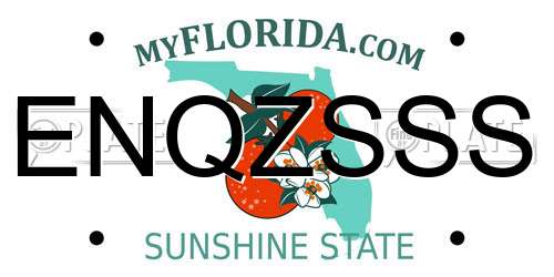 ENQZSSS Florida License Plate