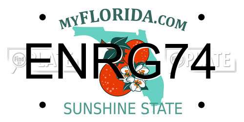 ENRG74 Florida License Plate