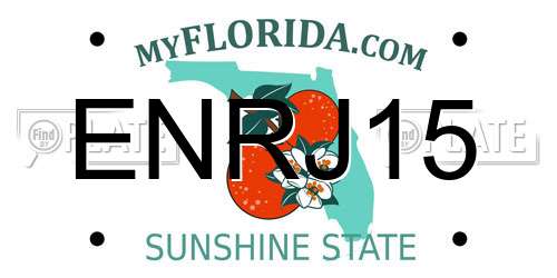 ENRJ15 Florida License Plate