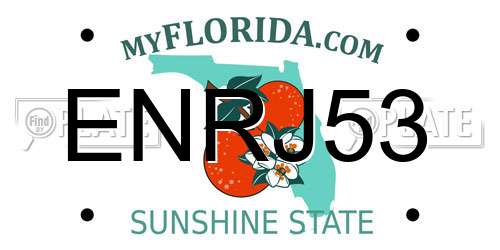 ENRJ53 Florida License Plate