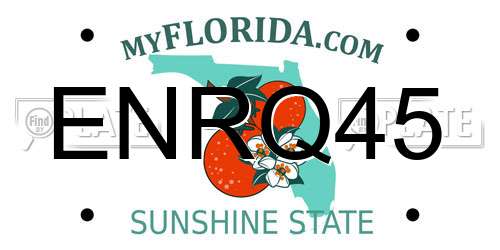 ENRQ45 Florida License Plate