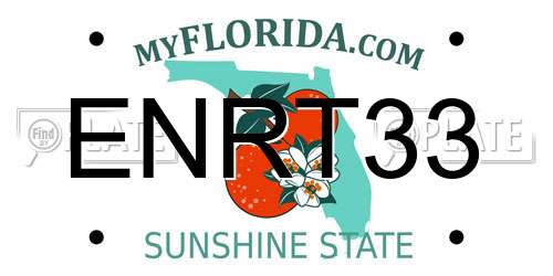 ENRT33 Florida License Plate