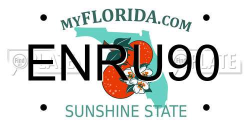 ENRU90 Florida License Plate