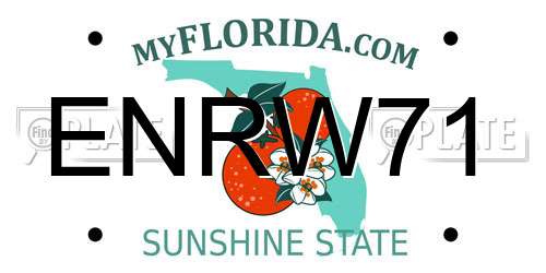 ENRW71 Florida License Plate