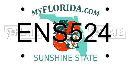 ENS524 Florida License Plate