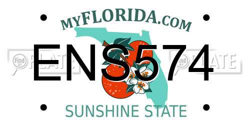 ENS574 Florida License Plate