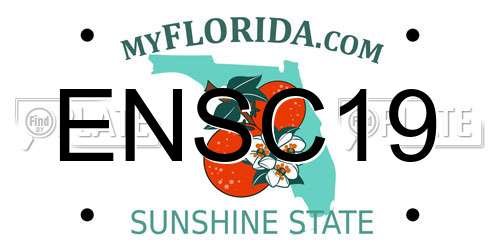 ENSC19 Florida License Plate