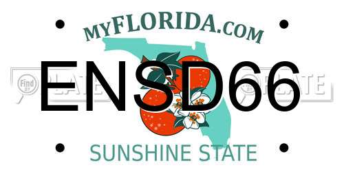 ENSD66 Florida License Plate