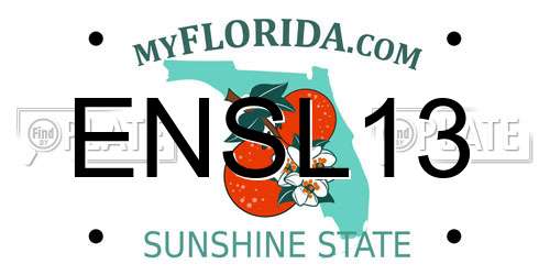 ENSL13 Florida License Plate