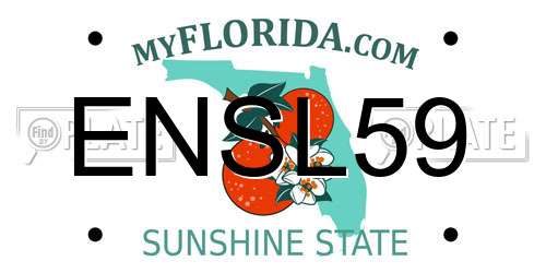 ENSL59 Florida License Plate