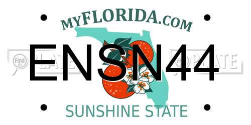 ENSN44 Florida License Plate