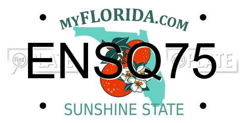 ENSQ75 Florida License Plate