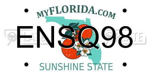 ENSQ98 Florida License Plate