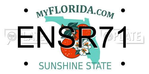 ENSR71 Florida License Plate