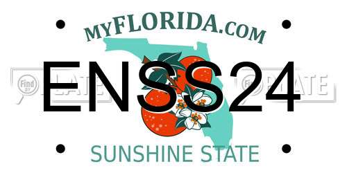 ENSS24 Florida License Plate
